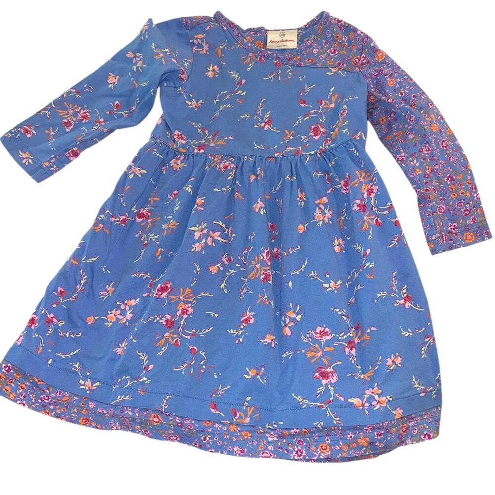 Hanna Andersson Girls Floral Dress Size 100 (3-4T) Blue Long Sleeve Cotton Twirl